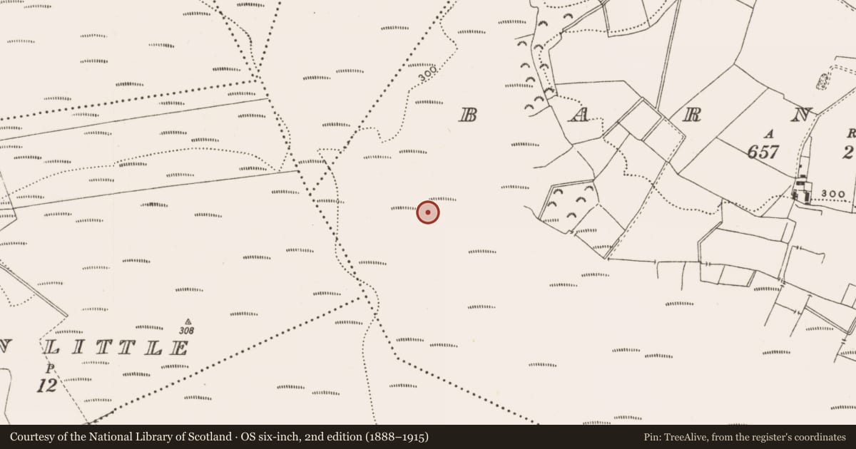 Ordnance Survey six-inch map, 2nd edition (1888–1915) covering the location of Structure - peatland, Barnaboy, County Offaly, with a pin at the register's coordinates