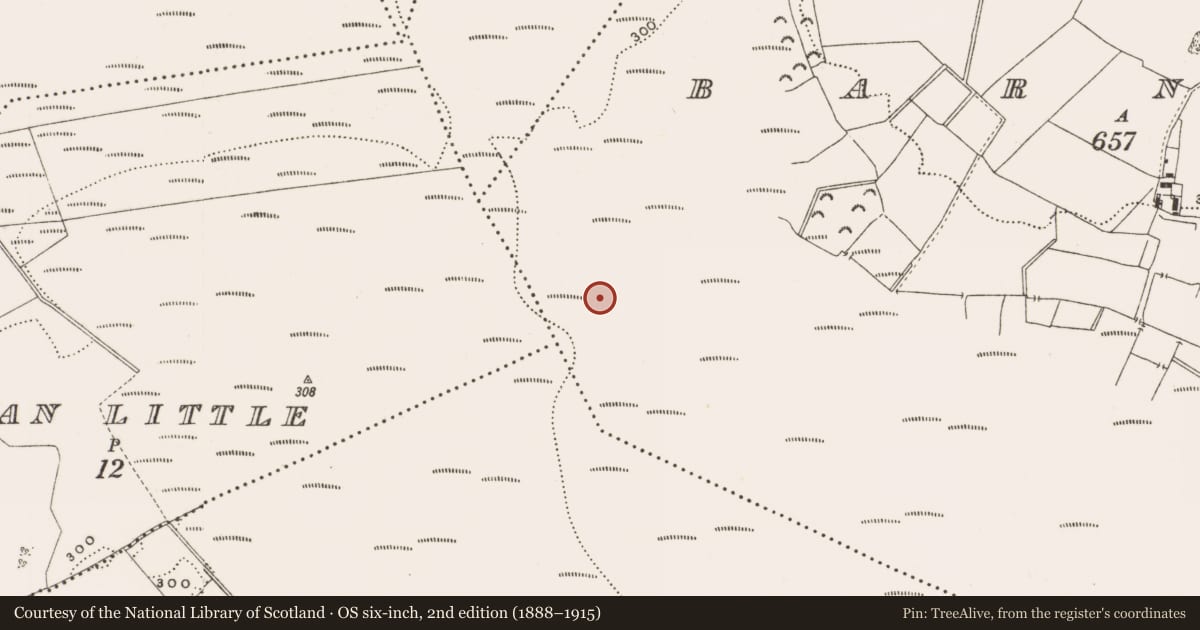 Ordnance Survey six-inch map, 2nd edition (1888–1915) covering the location of Structure - peatland, Barnaboy, County Offaly, with a pin at the register's coordinates