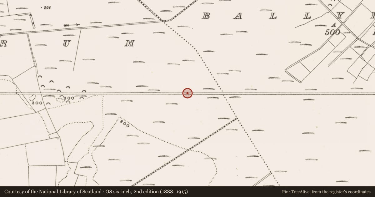 Ordnance Survey six-inch map, 2nd edition (1888–1915) covering the location of Road - class 1 togher, Ballylennon, Rathdrum, County Offaly, with a pin at the register's coordinates