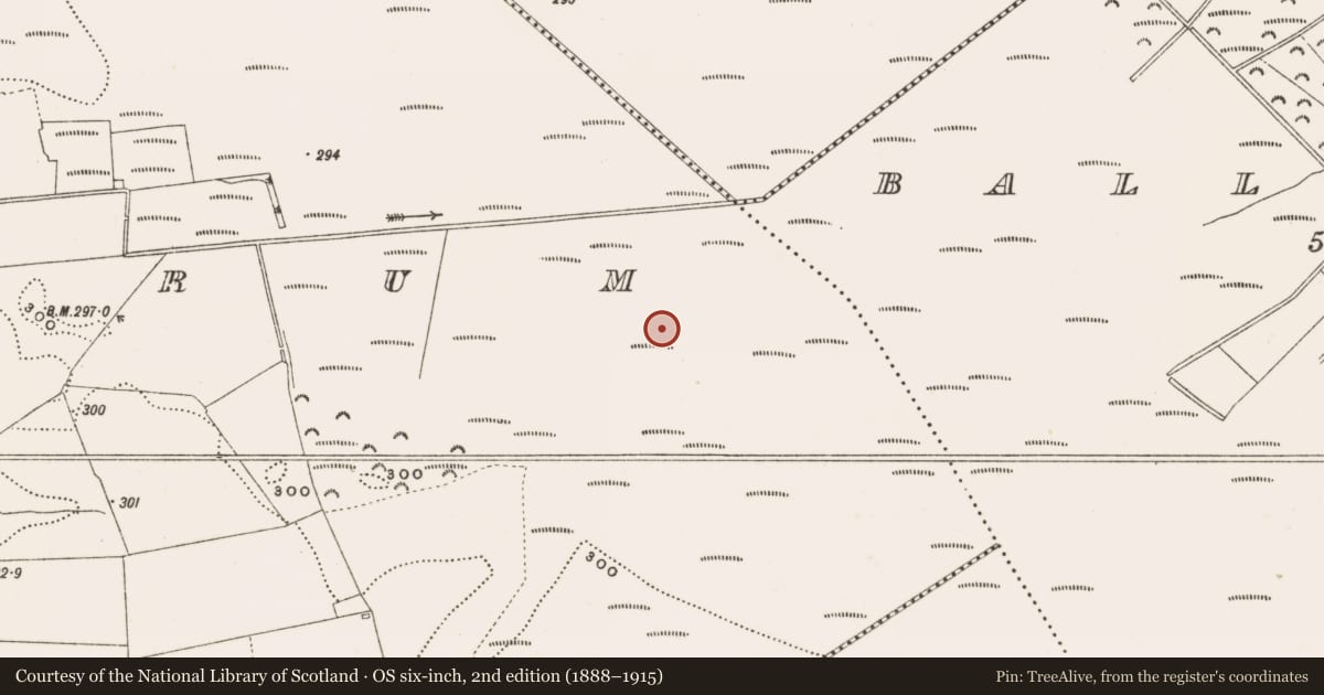 Ordnance Survey six-inch map, 2nd edition (1888–1915) covering the location of Road - class 1 togher, Ballylennon, Rathdrum, County Offaly, with a pin at the register's coordinates