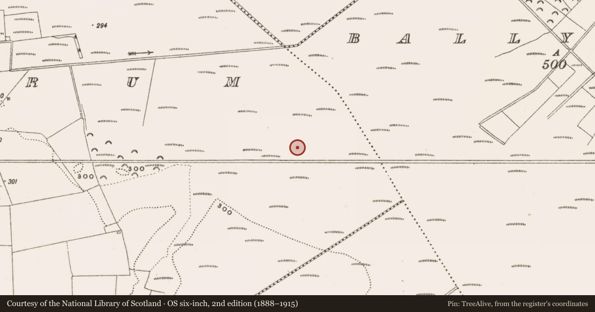 Ordnance Survey six-inch map, 2nd edition (1888–1915) covering the location of Structure - peatland, Rathdrum, County Offaly, with a pin at the register's coordinates