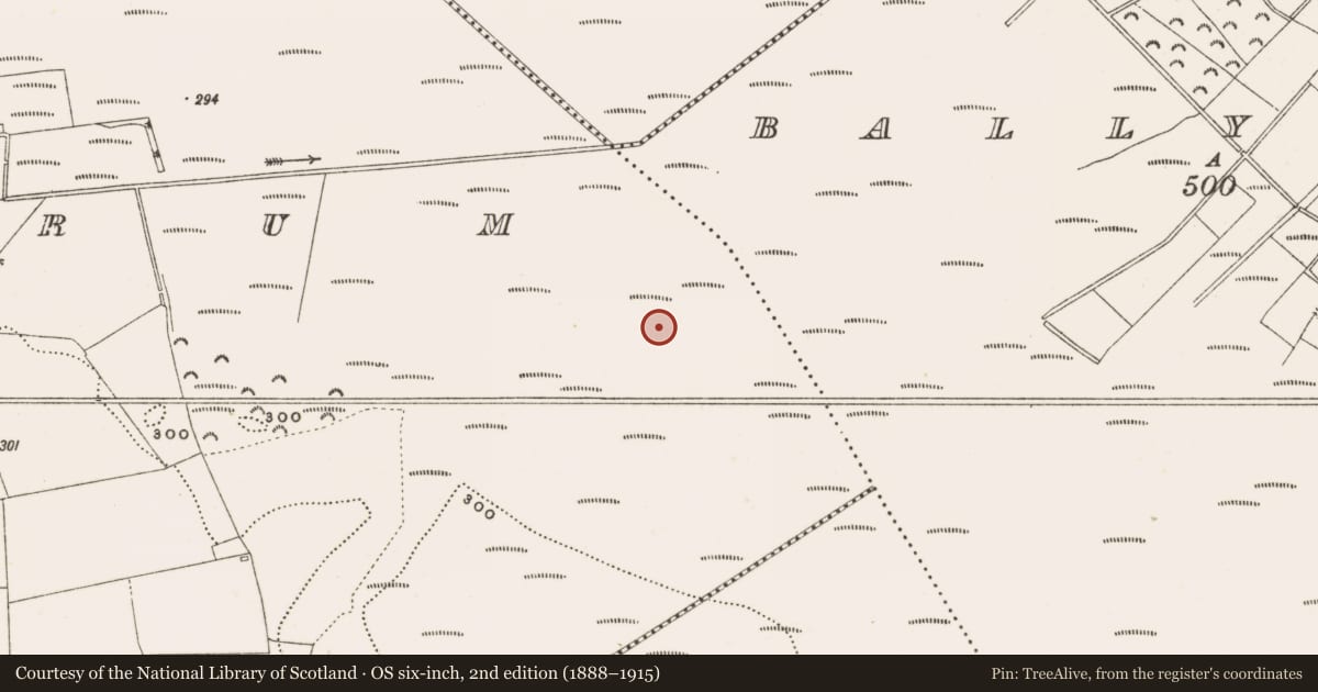 Ordnance Survey six-inch map, 2nd edition (1888–1915) covering the location of Structure - peatland, Rathdrum, County Offaly, with a pin at the register's coordinates