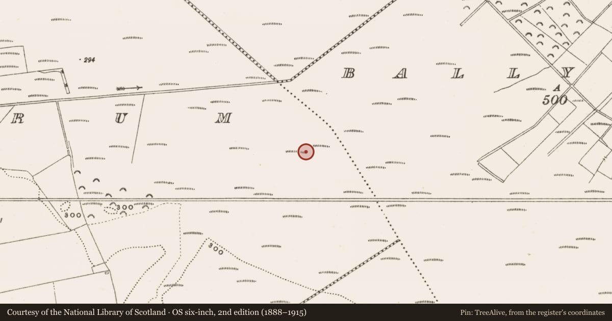 Ordnance Survey six-inch map, 2nd edition (1888–1915) covering the location of Structure - peatland, Rathdrum, County Offaly, with a pin at the register's coordinates