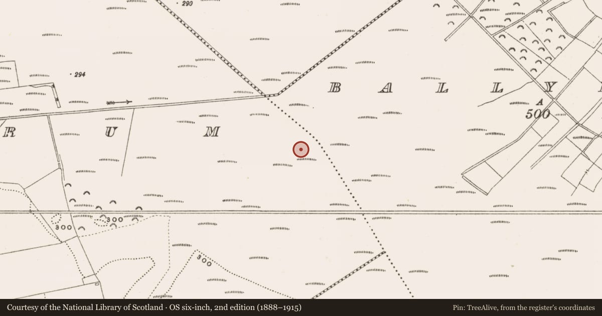 Ordnance Survey six-inch map, 2nd edition (1888–1915) covering the location of Structure - peatland, Rathdrum, County Offaly, with a pin at the register's coordinates
