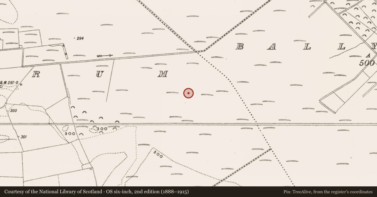 Ordnance Survey six-inch map, 2nd edition (1888–1915) covering the location of Road - class 1 togher, Ballylennon, Rathdrum, County Offaly, with a pin at the register's coordinates