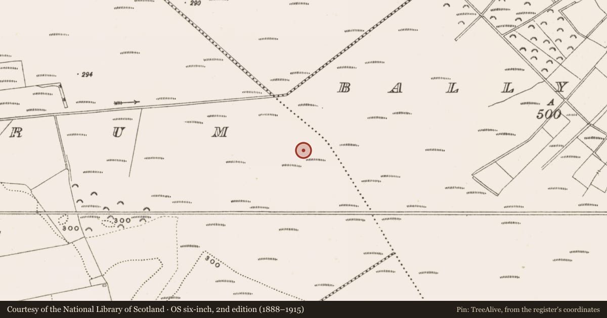 Ordnance Survey six-inch map, 2nd edition (1888–1915) covering the location of Structure - peatland, Rathdrum, County Offaly, with a pin at the register's coordinates