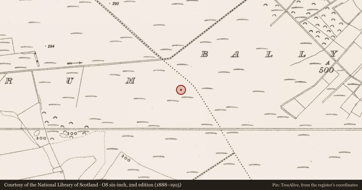 Ordnance Survey six-inch map, 2nd edition (1888–1915) covering the location of Structure - peatland, Rathdrum, County Offaly, with a pin at the register's coordinates