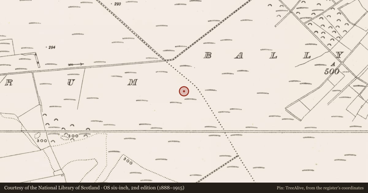 Ordnance Survey six-inch map, 2nd edition (1888–1915) covering the location of Structure - peatland, Rathdrum, County Offaly, with a pin at the register's coordinates