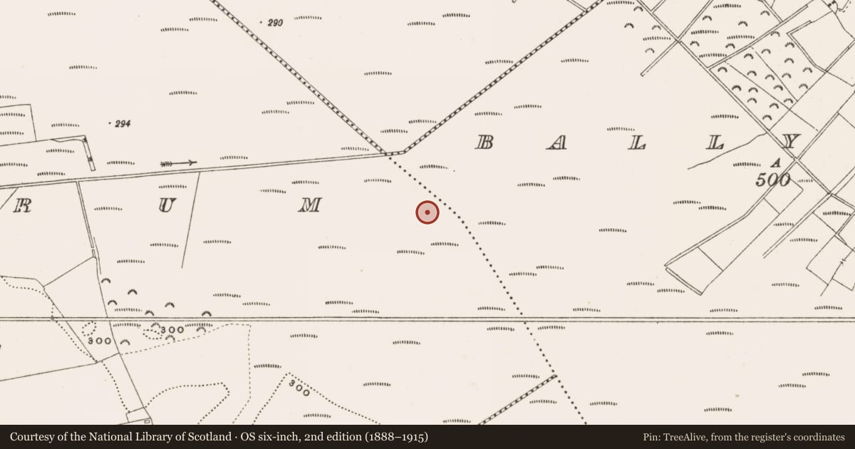 Ordnance Survey six-inch map, 2nd edition (1888–1915) covering the location of Structure - peatland, Rathdrum, County Offaly, with a pin at the register's coordinates