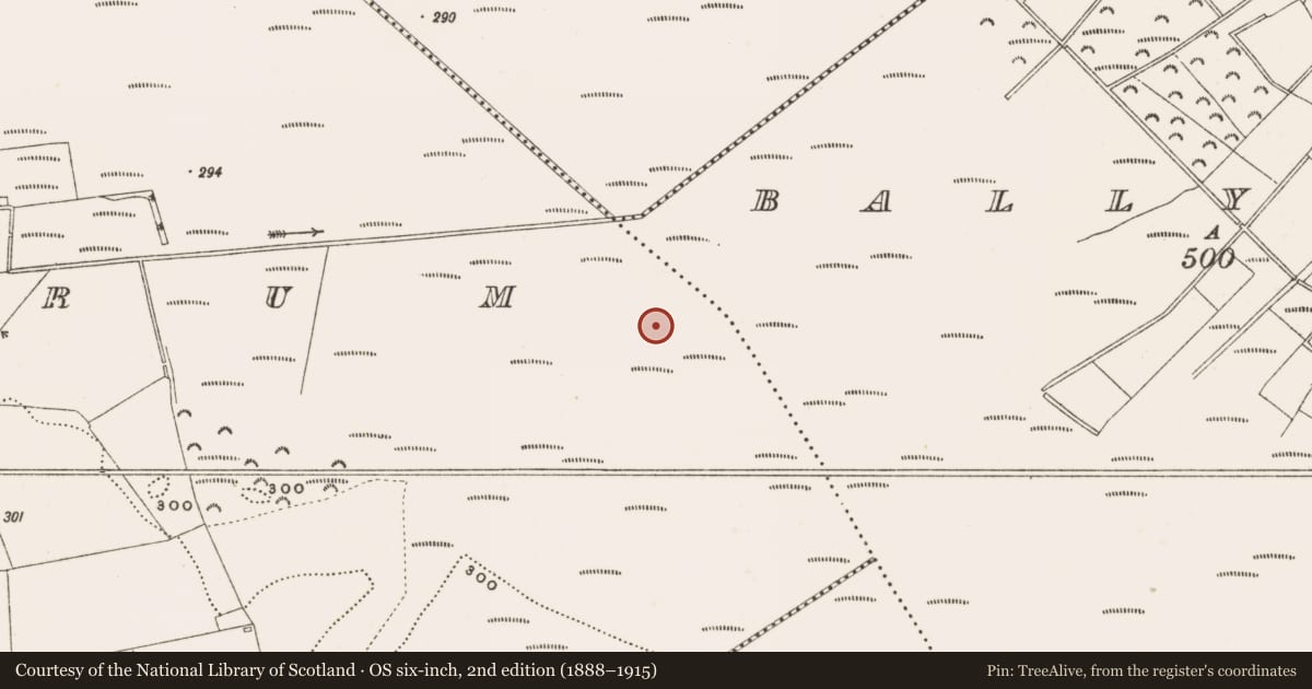 Ordnance Survey six-inch map, 2nd edition (1888–1915) covering the location of Structure - peatland, Rathdrum, County Offaly, with a pin at the register's coordinates