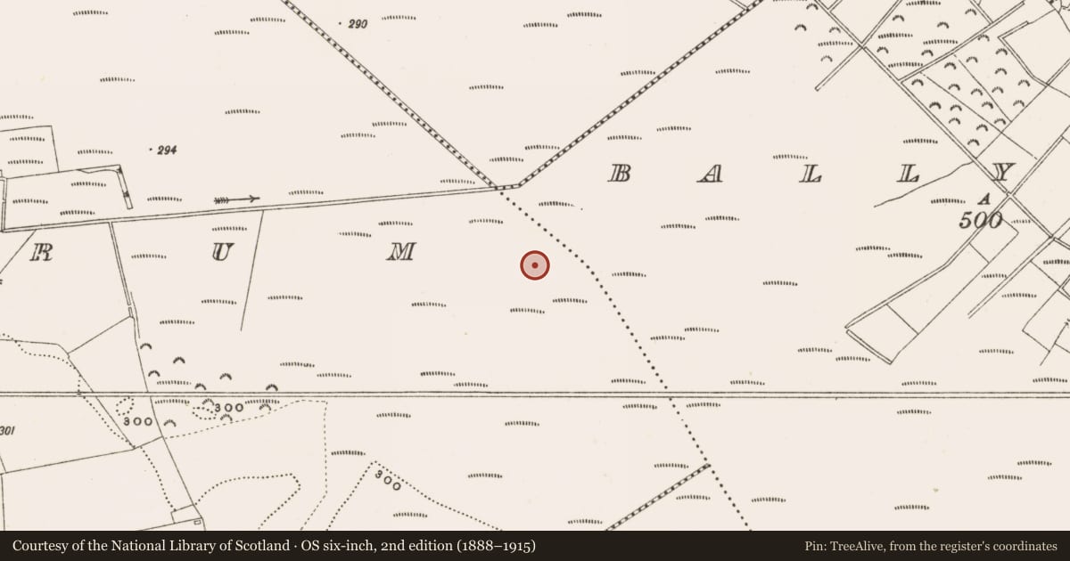 Ordnance Survey six-inch map, 2nd edition (1888–1915) covering the location of Structure - peatland, Rathdrum, County Offaly, with a pin at the register's coordinates