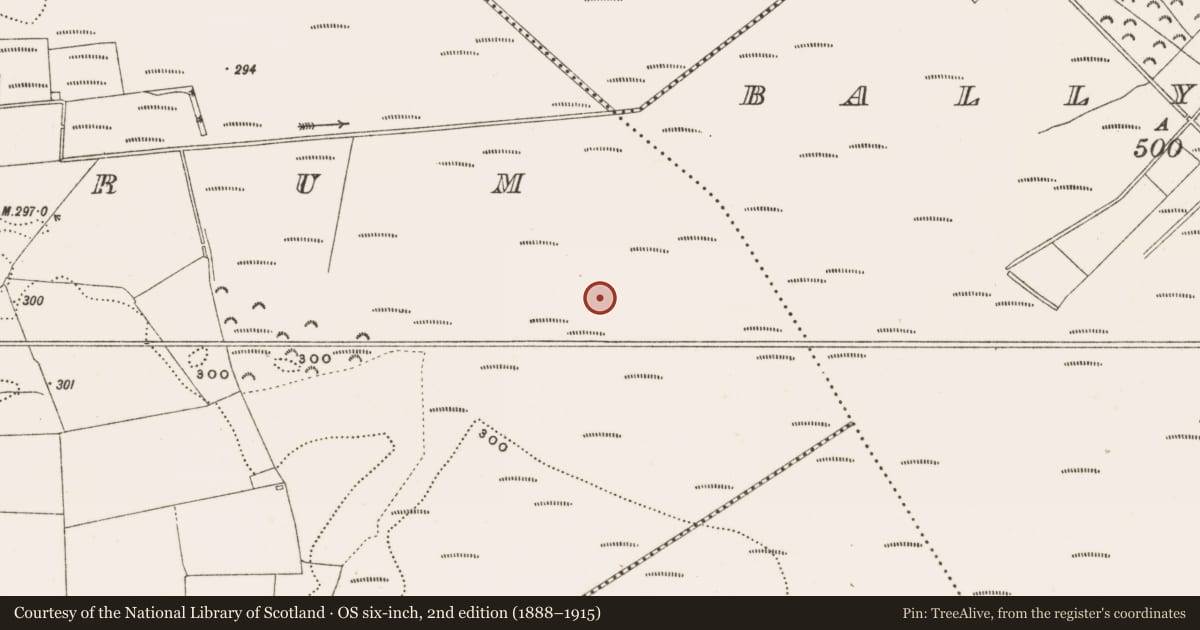 Ordnance Survey six-inch map, 2nd edition (1888–1915) covering the location of Structure - peatland, Rathdrum, County Offaly, with a pin at the register's coordinates
