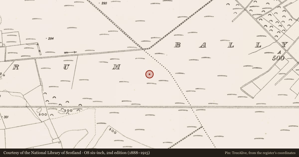 Ordnance Survey six-inch map, 2nd edition (1888–1915) covering the location of Structure - peatland, Rathdrum, County Offaly, with a pin at the register's coordinates