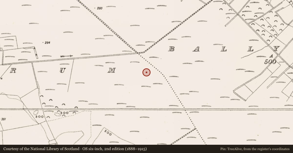 Ordnance Survey six-inch map, 2nd edition (1888–1915) covering the location of Structure - peatland, Rathdrum, County Offaly, with a pin at the register's coordinates