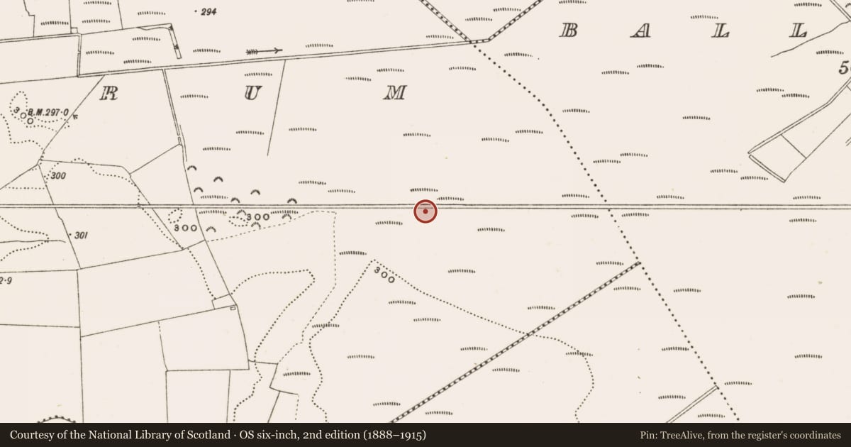 Ordnance Survey six-inch map, 2nd edition (1888–1915) covering the location of Structure - peatland, Rathdrum, County Offaly, with a pin at the register's coordinates
