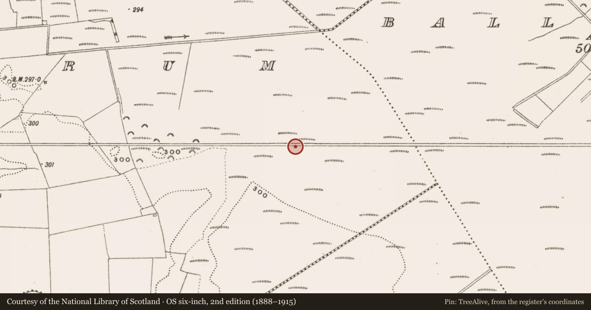 Ordnance Survey six-inch map, 2nd edition (1888–1915) covering the location of Structure - peatland, Rathdrum, County Offaly, with a pin at the register's coordinates