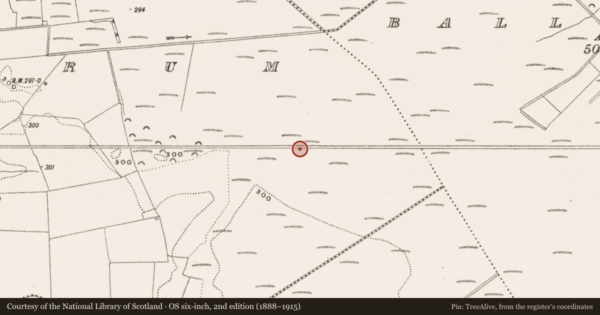 Ordnance Survey six-inch map, 2nd edition (1888–1915) covering the location of Structure - peatland, Rathdrum, County Offaly, with a pin at the register's coordinates
