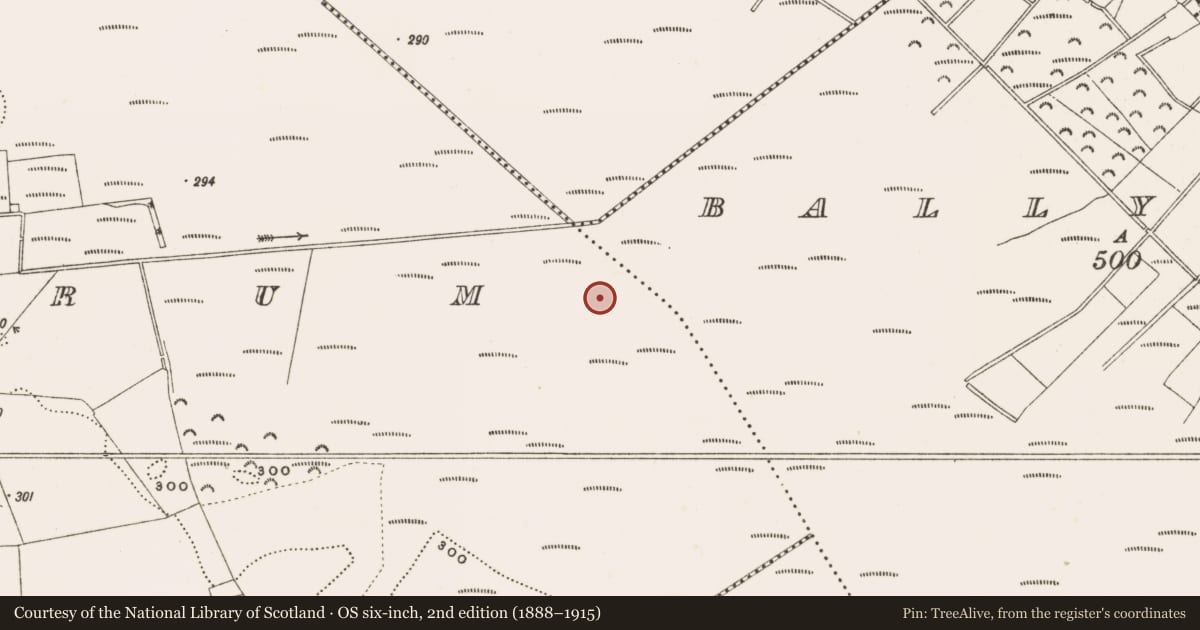 Ordnance Survey six-inch map, 2nd edition (1888–1915) covering the location of Structure - peatland, Rathdrum, County Offaly, with a pin at the register's coordinates