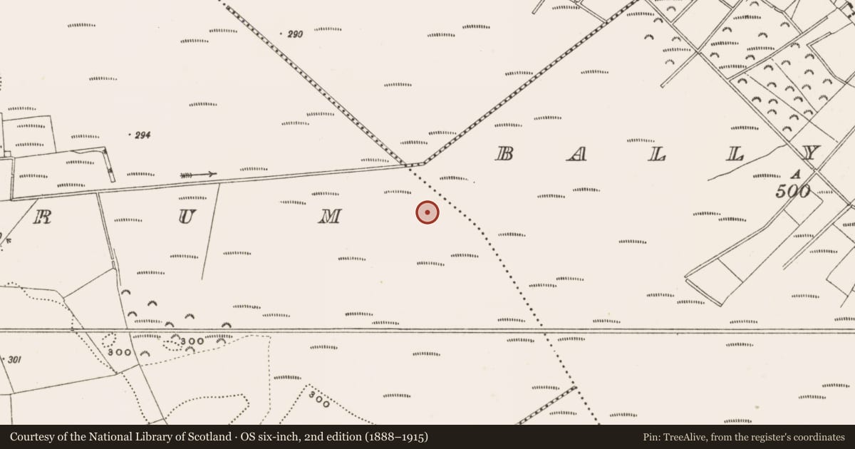 Ordnance Survey six-inch map, 2nd edition (1888–1915) covering the location of Road - class 3 togher, Rathdrum, County Offaly, with a pin at the register's coordinates