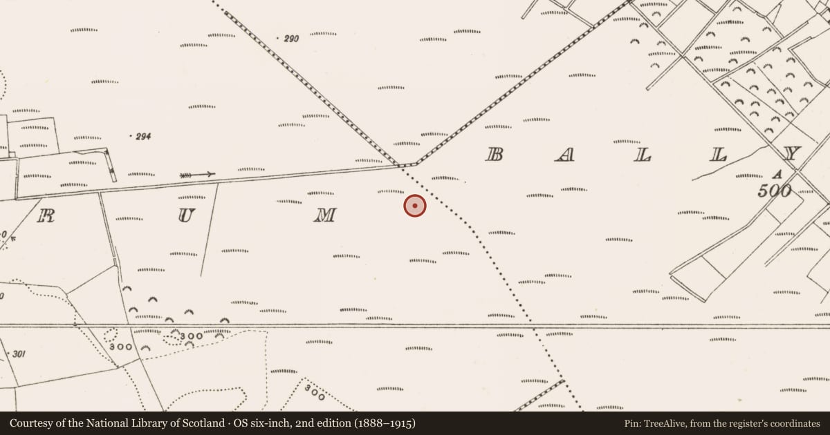 Ordnance Survey six-inch map, 2nd edition (1888–1915) covering the location of Structure - peatland, Rathdrum, County Offaly, with a pin at the register's coordinates