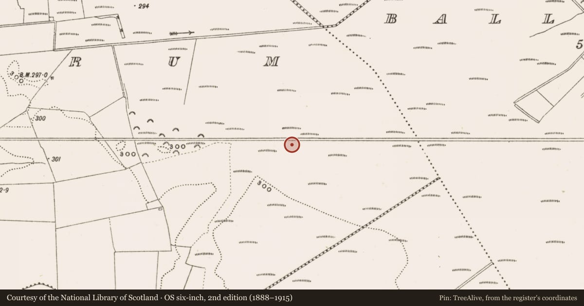 Ordnance Survey six-inch map, 2nd edition (1888–1915) covering the location of Structure - peatland, Rathdrum, County Offaly, with a pin at the register's coordinates