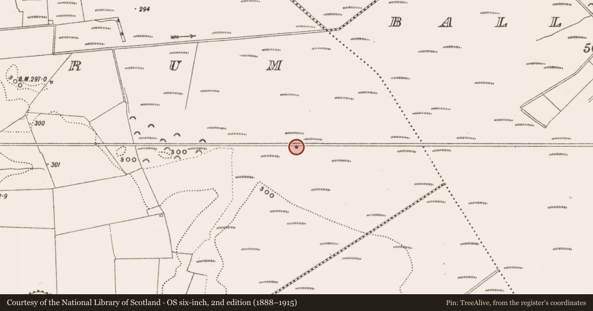 Ordnance Survey six-inch map, 2nd edition (1888–1915) covering the location of Structure - peatland, Rathdrum, County Offaly, with a pin at the register's coordinates