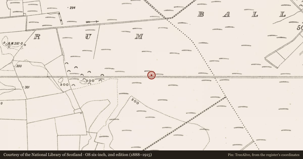Ordnance Survey six-inch map, 2nd edition (1888–1915) covering the location of Structure - peatland, Rathdrum, County Offaly, with a pin at the register's coordinates