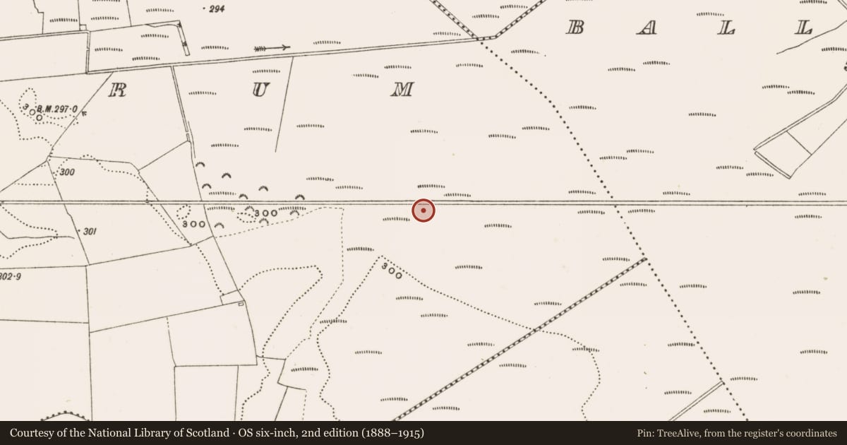 Ordnance Survey six-inch map, 2nd edition (1888–1915) covering the location of Structure - peatland, Rathdrum, County Offaly, with a pin at the register's coordinates