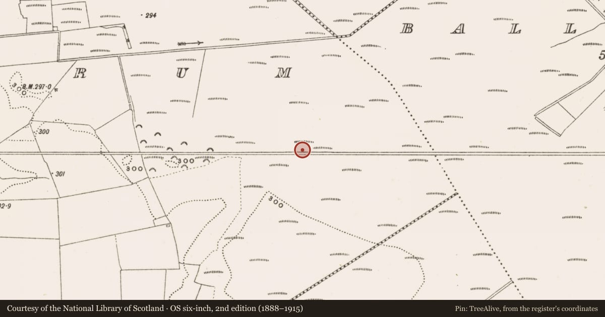 Ordnance Survey six-inch map, 2nd edition (1888–1915) covering the location of Structure - peatland, Rathdrum, County Offaly, with a pin at the register's coordinates