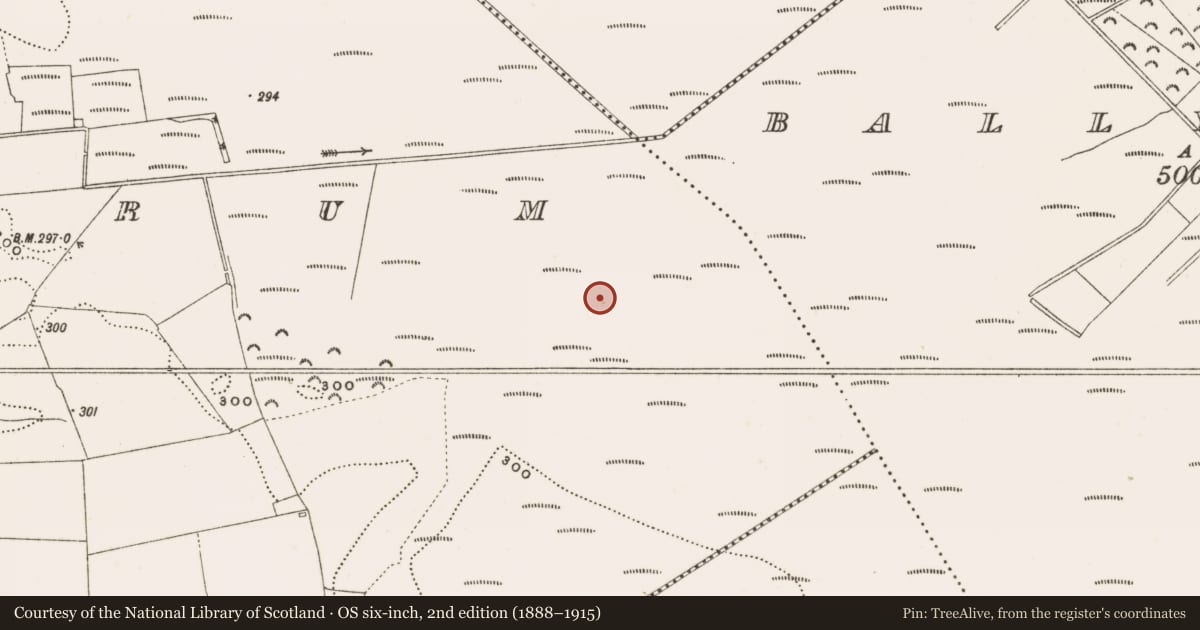 Ordnance Survey six-inch map, 2nd edition (1888–1915) covering the location of Structure - peatland, Rathdrum, County Offaly, with a pin at the register's coordinates