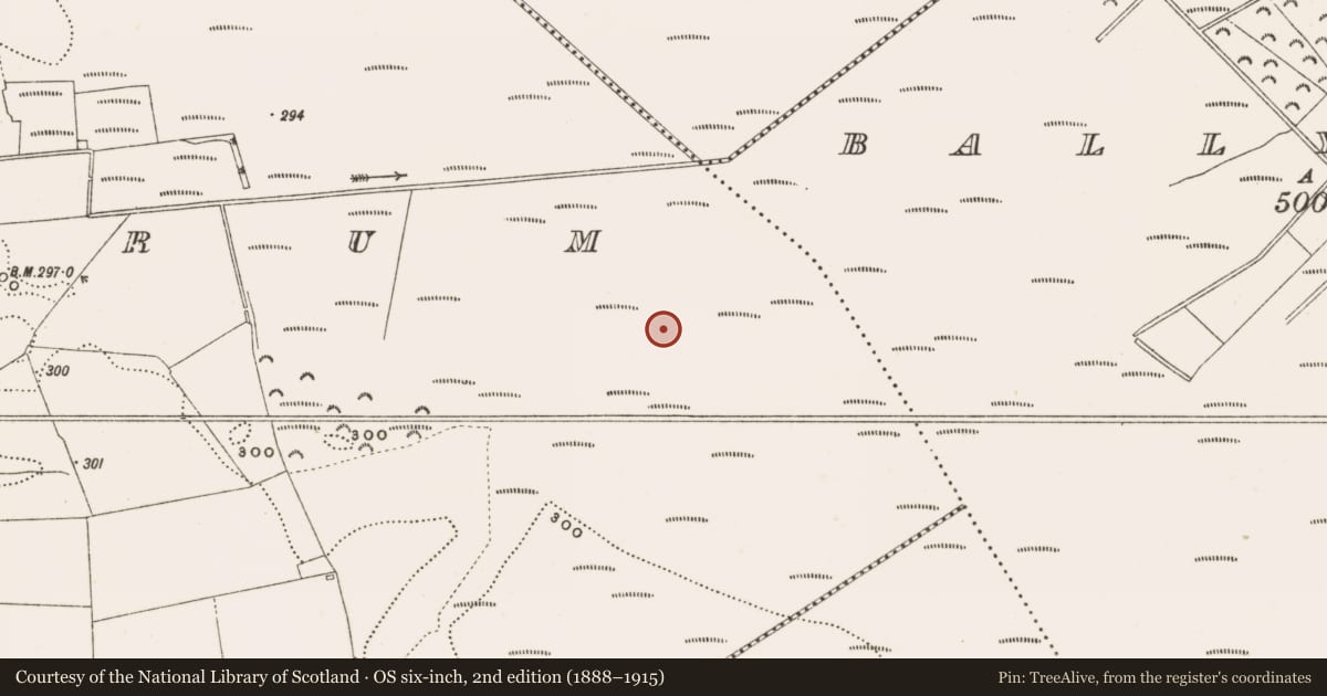 Ordnance Survey six-inch map, 2nd edition (1888–1915) covering the location of Structure - peatland, Rathdrum, County Offaly, with a pin at the register's coordinates