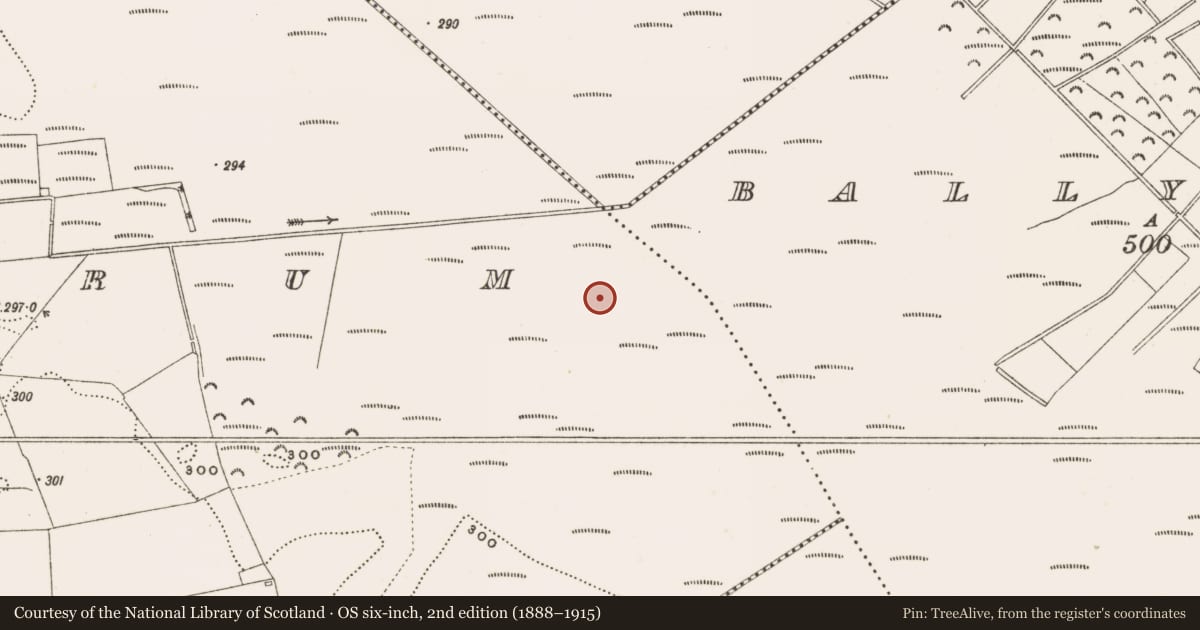 Ordnance Survey six-inch map, 2nd edition (1888–1915) covering the location of Structure - peatland, Rathdrum, County Offaly, with a pin at the register's coordinates
