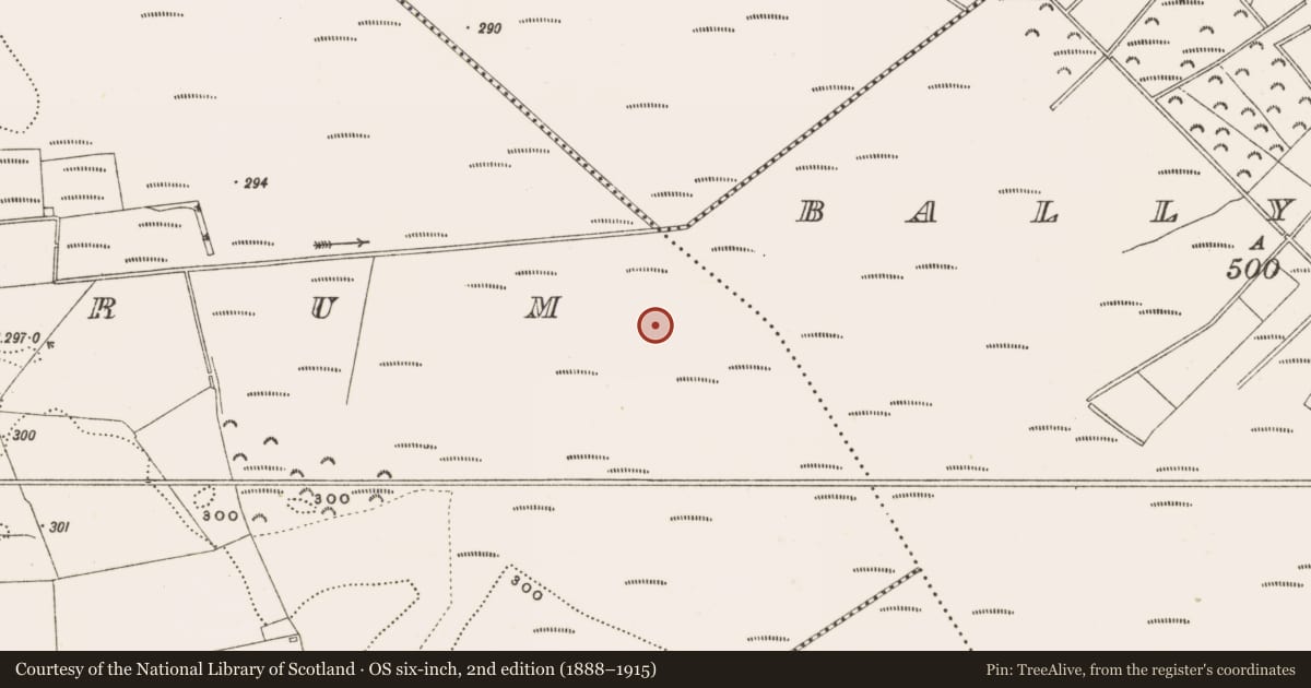 Ordnance Survey six-inch map, 2nd edition (1888–1915) covering the location of Structure - peatland, Rathdrum, County Offaly, with a pin at the register's coordinates