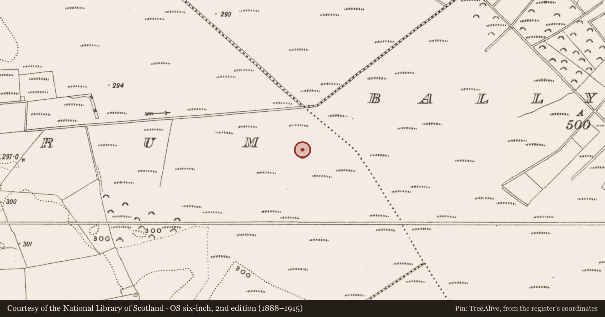Ordnance Survey six-inch map, 2nd edition (1888–1915) covering the location of Structure - peatland, Rathdrum, County Offaly, with a pin at the register's coordinates