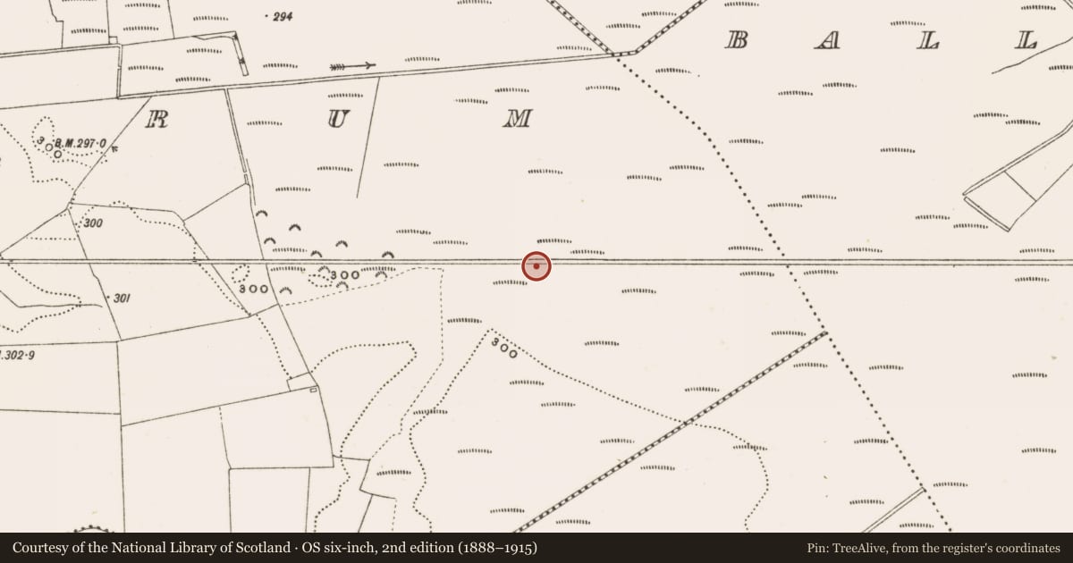 Ordnance Survey six-inch map, 2nd edition (1888–1915) covering the location of Structure - peatland, Rathdrum, County Offaly, with a pin at the register's coordinates
