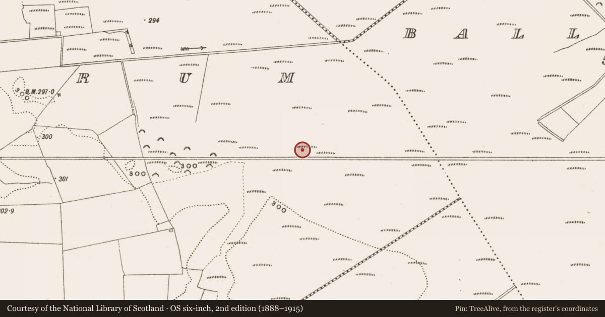 Ordnance Survey six-inch map, 2nd edition (1888–1915) covering the location of Structure - peatland, Rathdrum, County Offaly, with a pin at the register's coordinates