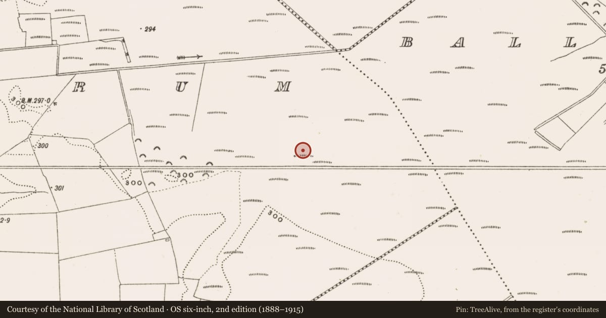 Ordnance Survey six-inch map, 2nd edition (1888–1915) covering the location of Structure - peatland, Rathdrum, County Offaly, with a pin at the register's coordinates