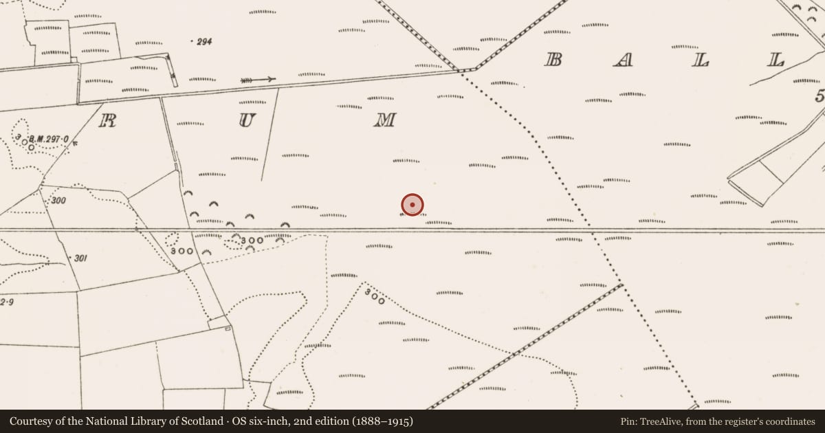 Ordnance Survey six-inch map, 2nd edition (1888–1915) covering the location of Structure - peatland, Rathdrum, County Offaly, with a pin at the register's coordinates