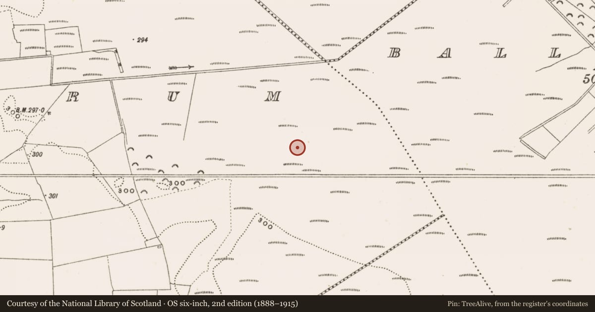 Ordnance Survey six-inch map, 2nd edition (1888–1915) covering the location of Structure - peatland, Rathdrum, County Offaly, with a pin at the register's coordinates