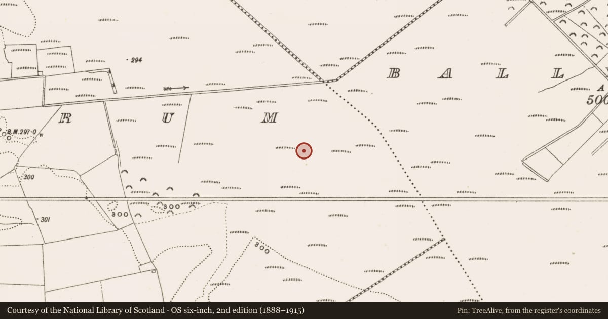 Ordnance Survey six-inch map, 2nd edition (1888–1915) covering the location of Structure - peatland, Rathdrum, County Offaly, with a pin at the register's coordinates