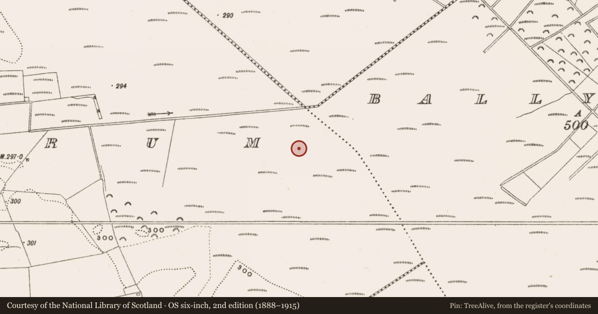 Ordnance Survey six-inch map, 2nd edition (1888–1915) covering the location of Structure - peatland, Rathdrum, County Offaly, with a pin at the register's coordinates
