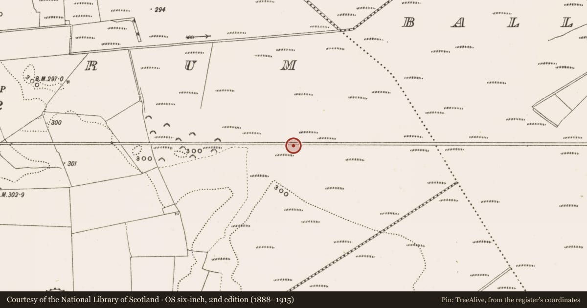 Ordnance Survey six-inch map, 2nd edition (1888–1915) covering the location of Structure - peatland, Rathdrum, County Offaly, with a pin at the register's coordinates