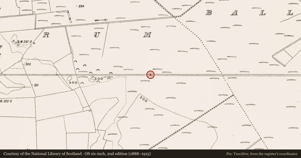 Ordnance Survey six-inch map, 2nd edition (1888–1915) covering the location of Structure - peatland, Rathdrum, County Offaly, with a pin at the register's coordinates