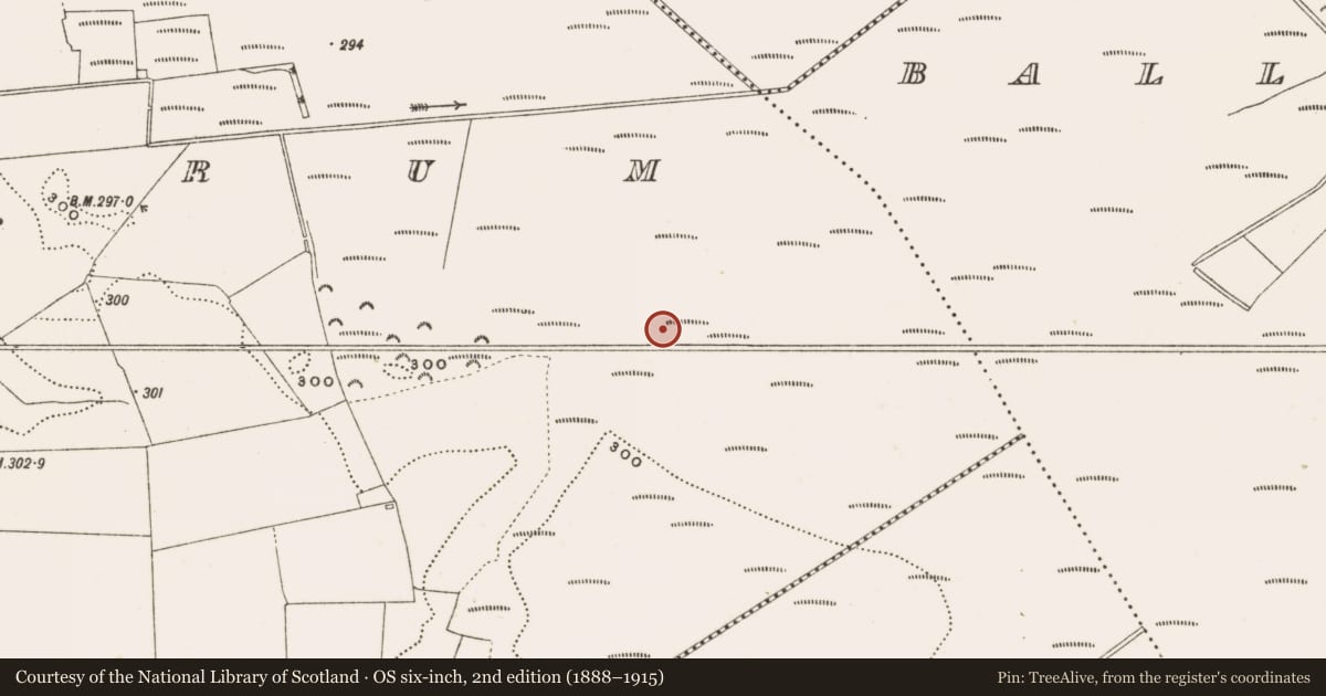 Ordnance Survey six-inch map, 2nd edition (1888–1915) covering the location of Structure - peatland, Rathdrum, County Offaly, with a pin at the register's coordinates