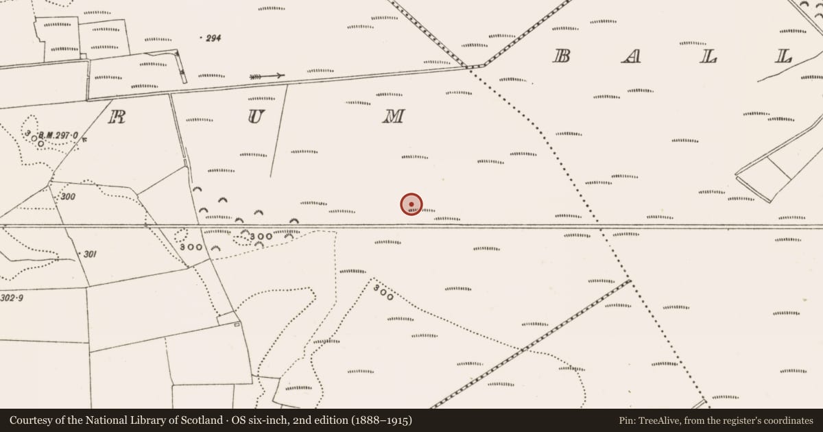 Ordnance Survey six-inch map, 2nd edition (1888–1915) covering the location of Structure - peatland, Rathdrum, County Offaly, with a pin at the register's coordinates