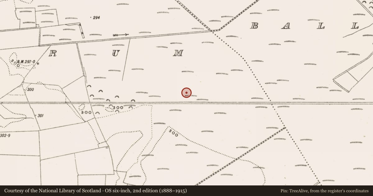 Ordnance Survey six-inch map, 2nd edition (1888–1915) covering the location of Structure - peatland, Rathdrum, County Offaly, with a pin at the register's coordinates
