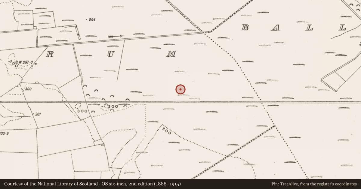 Ordnance Survey six-inch map, 2nd edition (1888–1915) covering the location of Structure - peatland, Rathdrum, County Offaly, with a pin at the register's coordinates