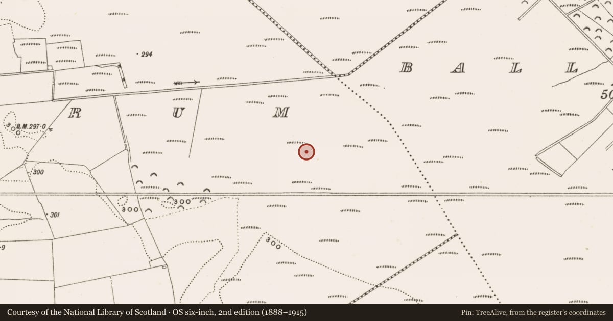 Ordnance Survey six-inch map, 2nd edition (1888–1915) covering the location of Structure - peatland, Rathdrum, County Offaly, with a pin at the register's coordinates
