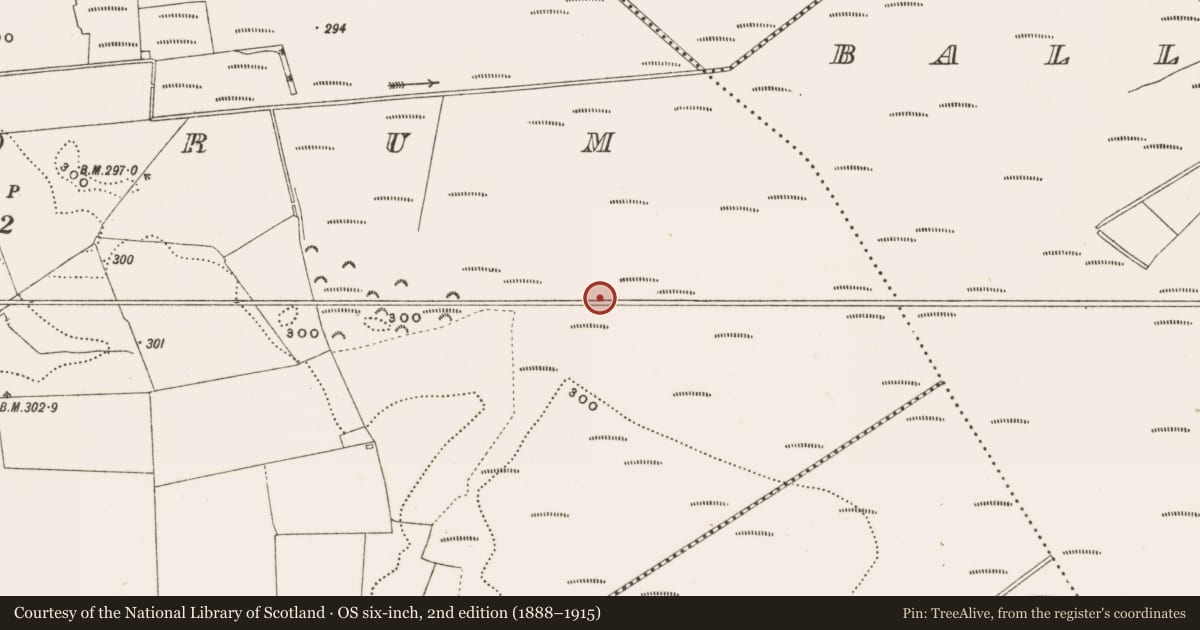 Ordnance Survey six-inch map, 2nd edition (1888–1915) covering the location of Structure - peatland, Rathdrum, County Offaly, with a pin at the register's coordinates
