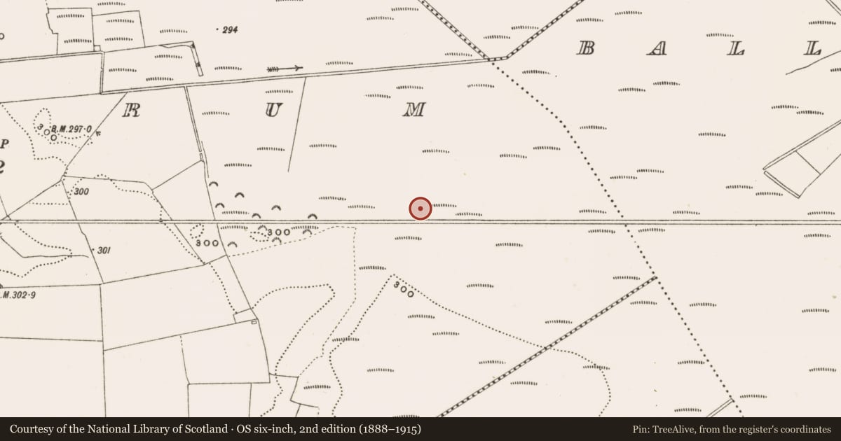 Ordnance Survey six-inch map, 2nd edition (1888–1915) covering the location of Structure - peatland, Rathdrum, County Offaly, with a pin at the register's coordinates